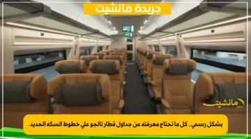 بشكل رسمي.. كل ما تحتاج معرفته عن جداول قطار تالجو على خطوط السكة الحديد. 1